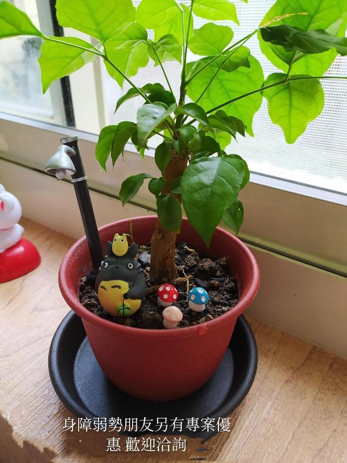 Non-Profit Bee Home 基隆市 エクステリア 写真